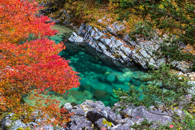 紅葉情報19 長野県 定番から穴場まで口コミ紹介 紅葉口コミ情報19