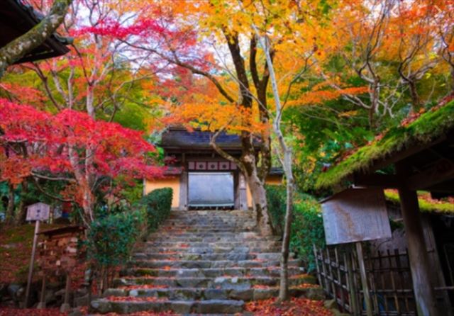 紅葉情報19 愛知県 定番から穴場まで 口コミ紹介 紅葉口コミ情報19